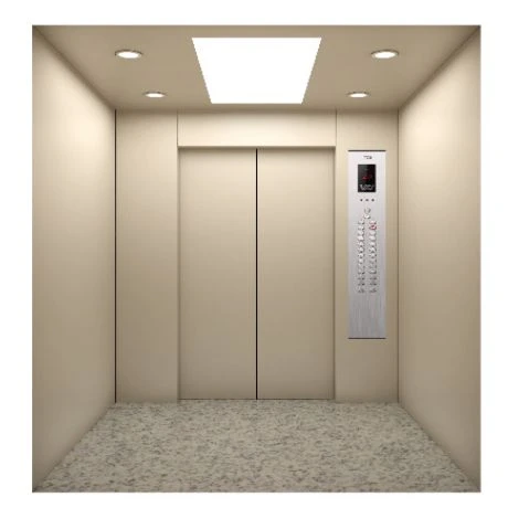 Magnetic Elevator best